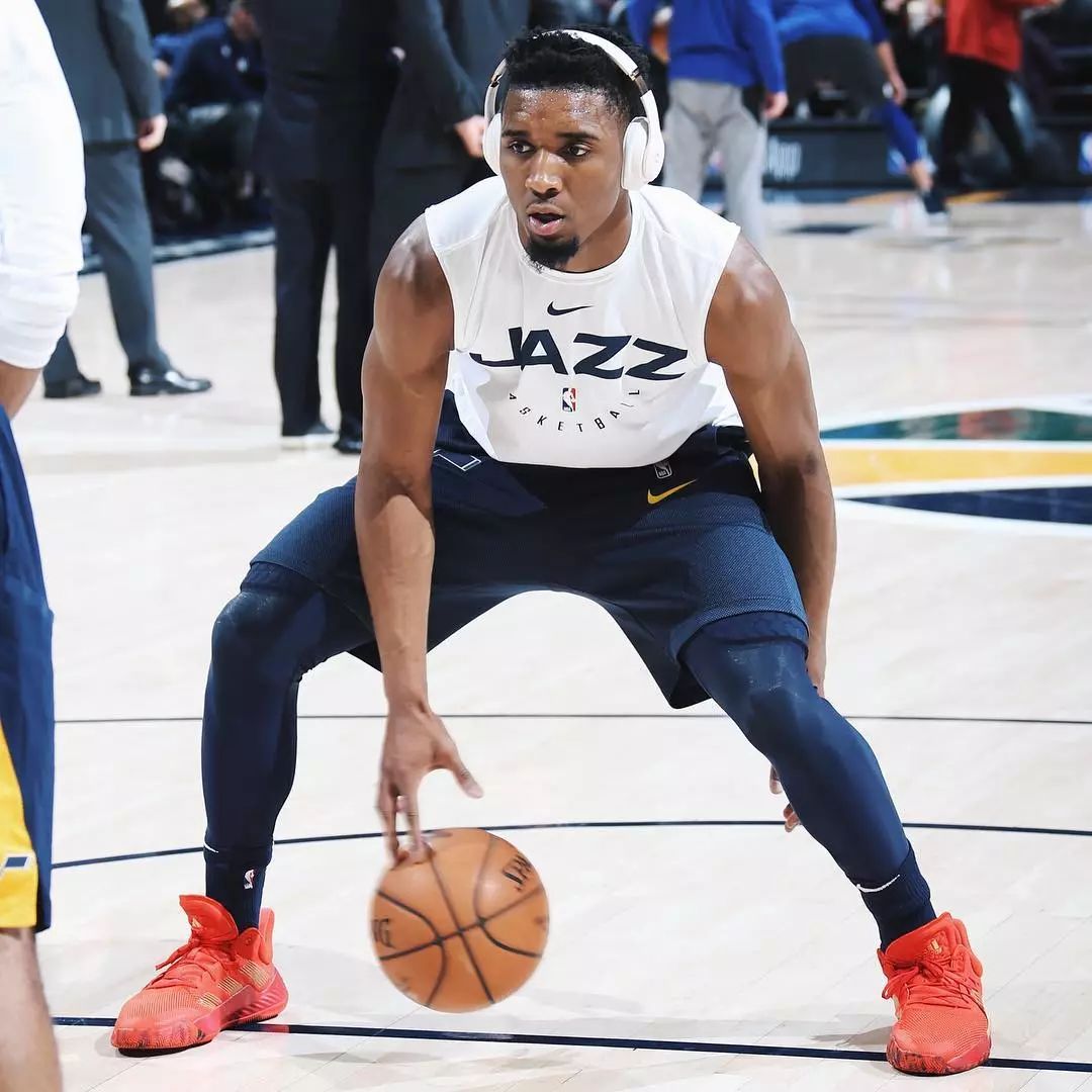 不依赖单一 不依赖单一